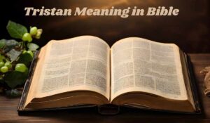 Tristan Meaning in Bible
