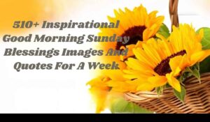 Good Morning Sunday Blessings